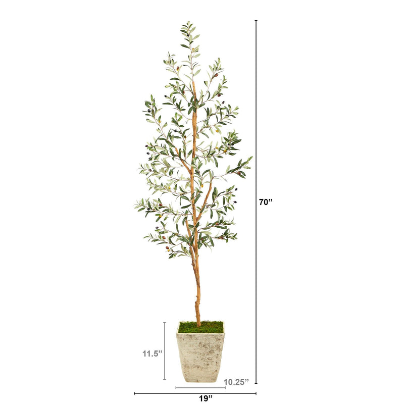 70” Olive Artificial Tree in Country White Planter