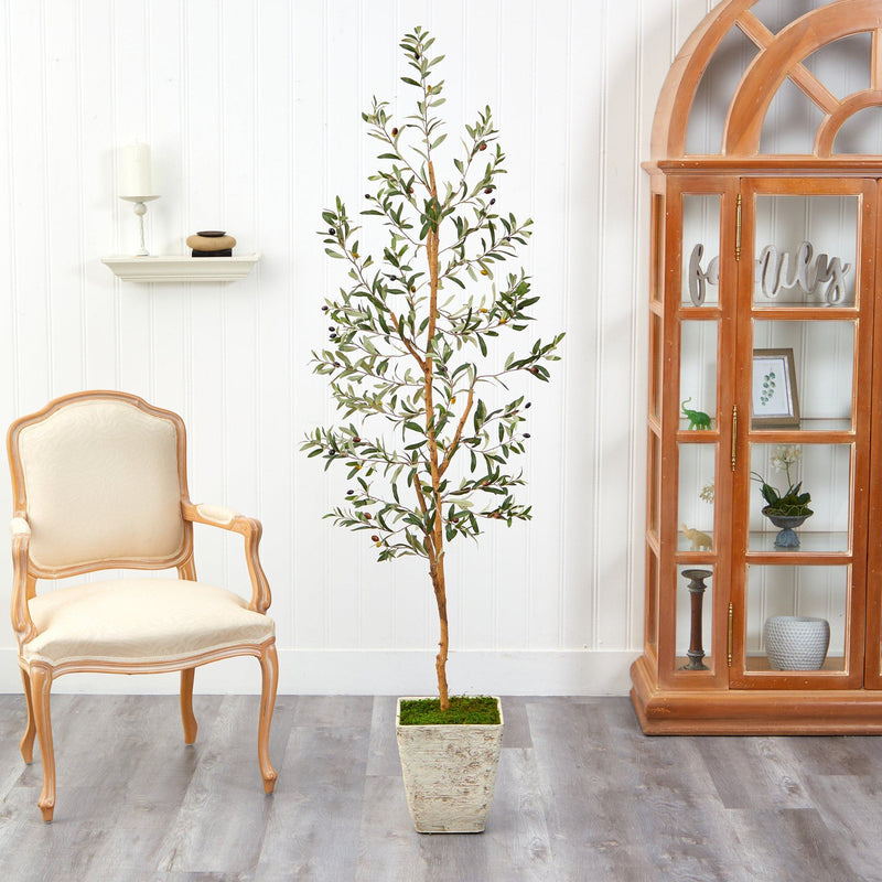 70” Olive Artificial Tree in Country White Planter, photo 3 of 3