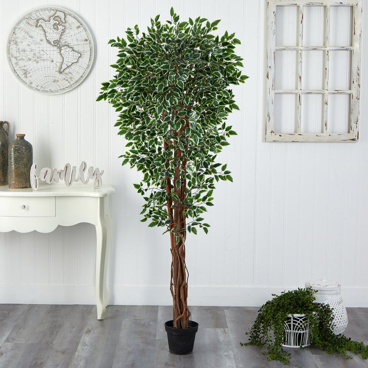 70” Variegated Ficus Artificial Tree UV Resistant (Indoor/Outdoor), photo 3 of 3