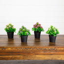 7.5" Artificial Mixed Flowering Plant in Black Pot - Set of 4