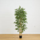 75" Bamboo Silk Tree"