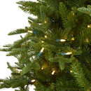 7.5' Cambridge Fir Artificial Christmas Tree with 800 Clear Warm (Multifunction) LED Lights with Instant Connect Technology and 1644 Bendable Branches