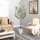 75” Olive Artificial Tree in Country White Planter