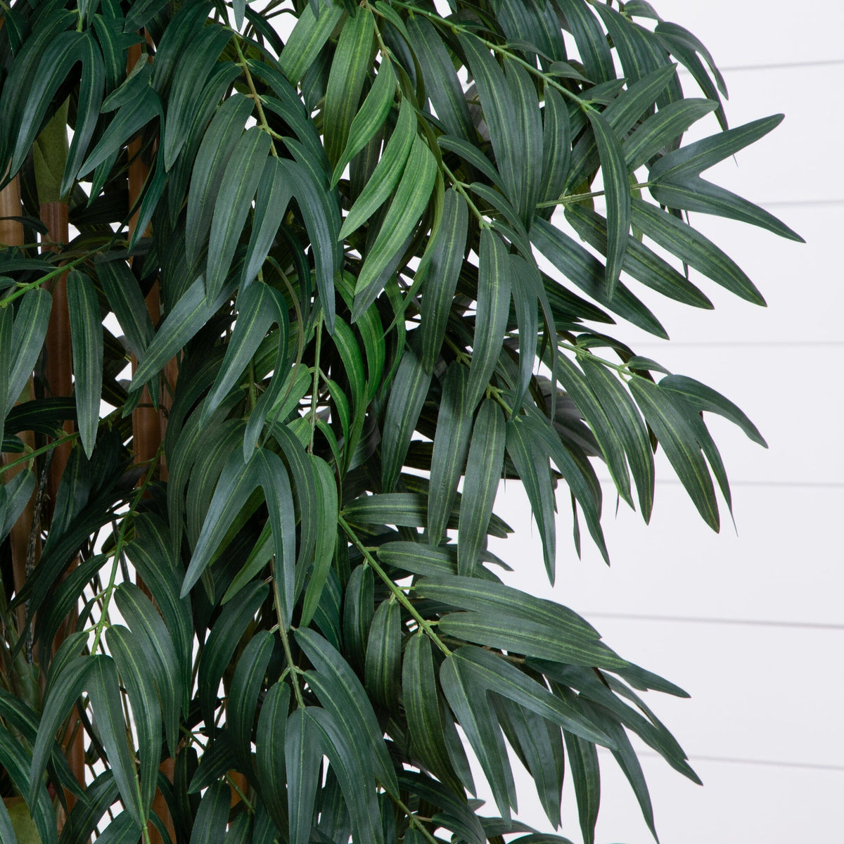 7.5’ Phoenix Palm Tree, photo 2 of 3