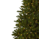 7.5’ Windermere Christmas Tree w/Clear Lights