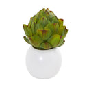8” Artichoke and Cactus Artificial Plant in White Planter (Set of 3)