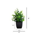 8” Artificial Boxwood in Black Square Pot - Set of 4