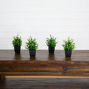 8” Artificial Boxwood in Black Square Pot - Set of 4