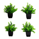 8” Artificial Boxwood Plant in Black Square Pot - Set of 4