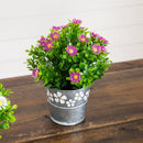 8” Artificial Daisy Plant in Decorative Daisy Tin Planter -Set of 3