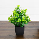 8” Artificial Evergreen Boxwood Plant in Black Square Pot - Set of 3