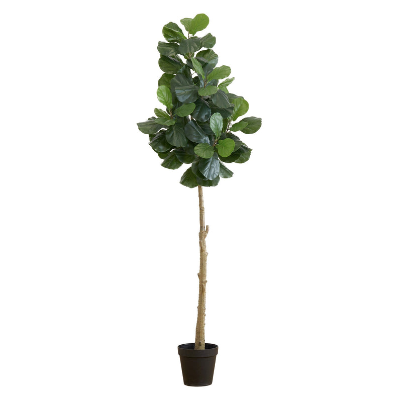 8’ Artificial Fiddle Leaf Fig Tree, photo 5 of 5