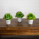 8” Artificial Flowering Mini Daisy Plant in Rustic Flowers & Garden Planter -Set of 3