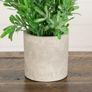 8" Artificial Grass Plant in Decorative Planter - Set of 3