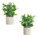 8" Artificial Greenery in Decorative Planter - Set of 2