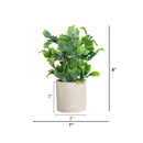 8" Artificial Greenery in Decorative Planter - Set of 2