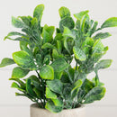 8" Artificial Greenery in Decorative Planter - Set of 2