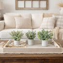 8” Artificial Mini Eucalyptus Potted Plants - Set of 3