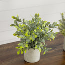 8” Artificial Mini Eucalyptus Potted Plants - Set of 3
