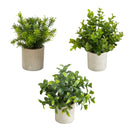 8” Artificial Mini Greenery Potted Plant - Set of 3