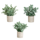8" Artificial Mixed Eucalyptus Plant in Decorative Planter - Set of 3