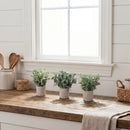 8" Artificial Mixed Eucalyptus Plant in Decorative Planter - Set of 3