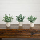 8" Artificial Mixed Eucalyptus Plant in Decorative Planter - Set of 3