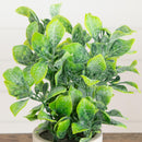 8" Artificial Mixed Plant in Decorative Planter - Set of 3