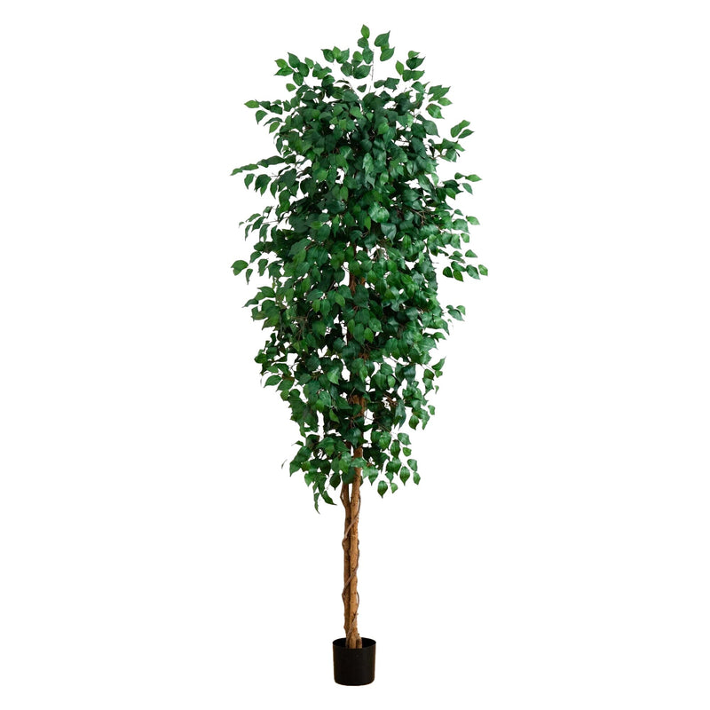 8’ Ficus Tree w/1512 Lvs