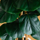 8' Artificial Fiddle Leaf Tree in Decorative White Planter