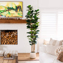 8' Artificial Fiddle Leaf Tree in Decorative White Planter
