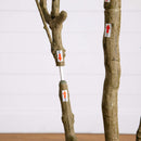 8' Artificial Minimalist Japanese Pieris Tree
