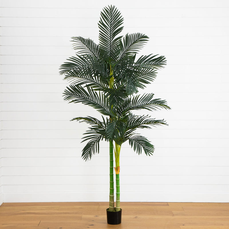 8'  Golden Cane Palm Silk Tree