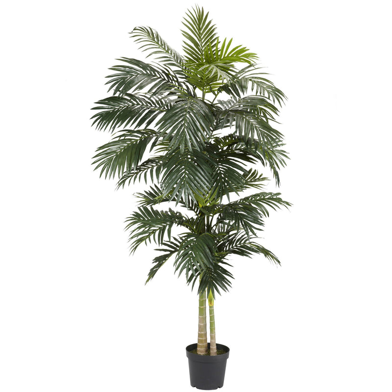 8'  Golden Cane Palm Silk Tree