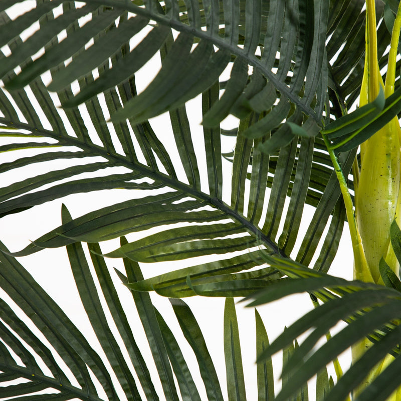 8'  Golden Cane Palm Silk Tree, photo 2 of 3