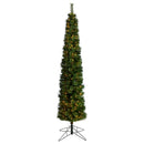8' Green Pencil Christmas Tree with 200 Clear (Multifunction) LED Lights and 402 Bendable Branches