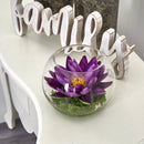 8” Lotus Artificial Arrangement in Glass Vase