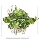 8” Watermelon Peperomia Artificial Plant in Chair Planter (Real Touch)