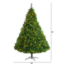 8’ West Virginia Full Bodied Mixed Pine Christmas Tree with 700 Clear LED Lights and Pine Cones