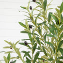 7' Artificial Airy Olive tree