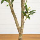 7' Artificial Airy Olive tree