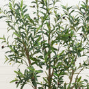 7' Artificial Olive Tree in White Decorative Planter