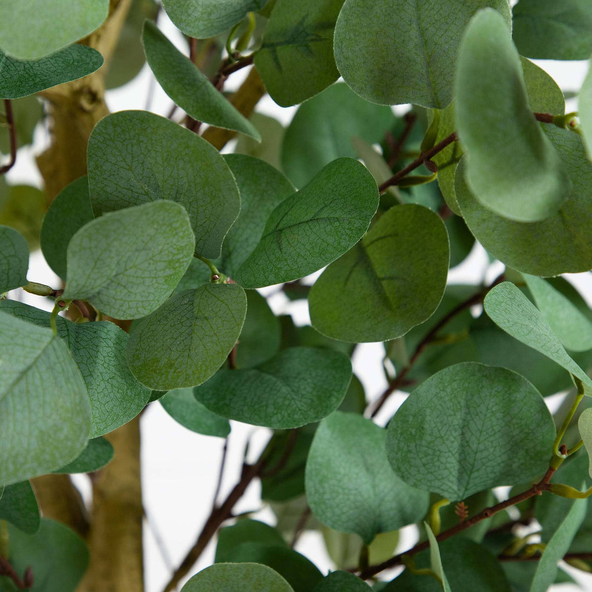 9’ Artificial Eucalyptus Tree, photo 2 of 7