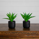 9” Artificial Mini Agave Plant in Ceramic Black Planter - Set of 2