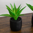 9” Artificial Mini Agave Plant in Ceramic Black Planter - Set of 2