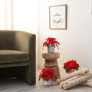 9” Artificial Poinsettia Arrangements in White Ceramic Pots - Set of 3 by Nearly Natural