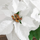 9" Artificial Poinsettia Plant - Set of 2