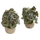 9” Rex Begonia Artificial Plant in Stone Gray Planter (Set of 2)