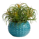 9” Tillandsia Artificial Plant in Blue Planter