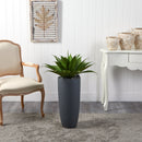 Agave in Gray Cylinder Planter
